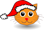 Funny kitty face with Santa Claus hat